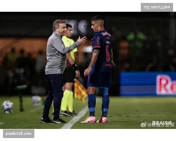 巴甲联赛下半程，多队换帅求变效果各异