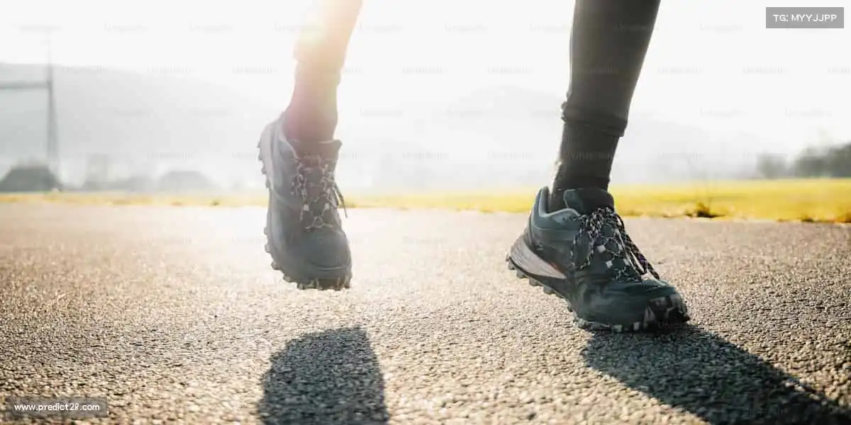 加拿大28——🥾⛰️登山杖指，云端征途！